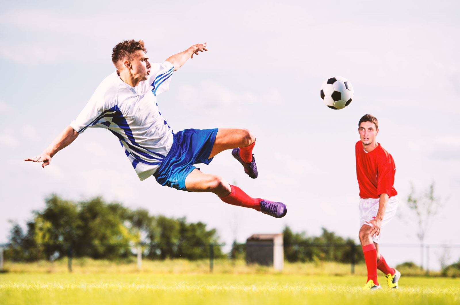 篮球世界从 篮球世界从